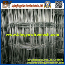 Hot Dipped Galvanized Grassland Fence Wire Mesh